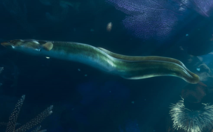 Eel gta 6