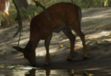 Deer gta 6