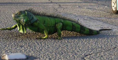 Iguana gta 6