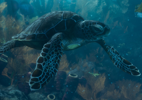 Sea Turtle gta 6