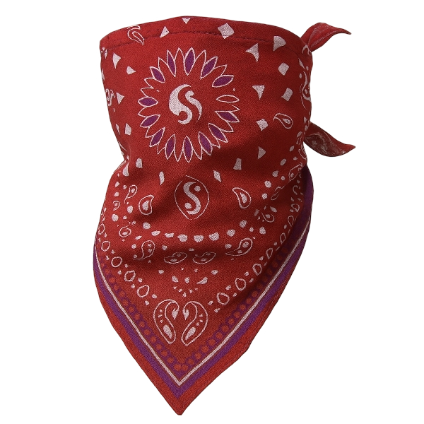 Bandana Lucia caminos gta 6